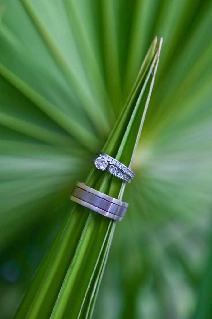 ring shot, palm frond, mexico