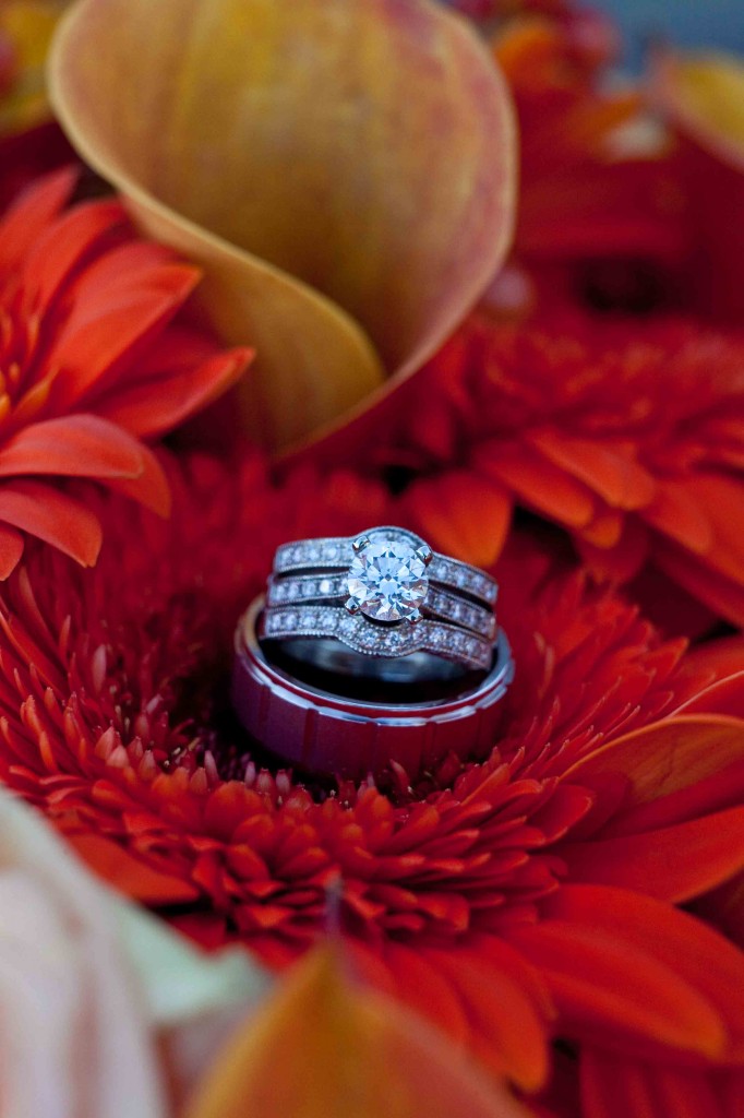 rin detail shot, rings, wedding rings, flowers, buy the bunch, wedding, photography