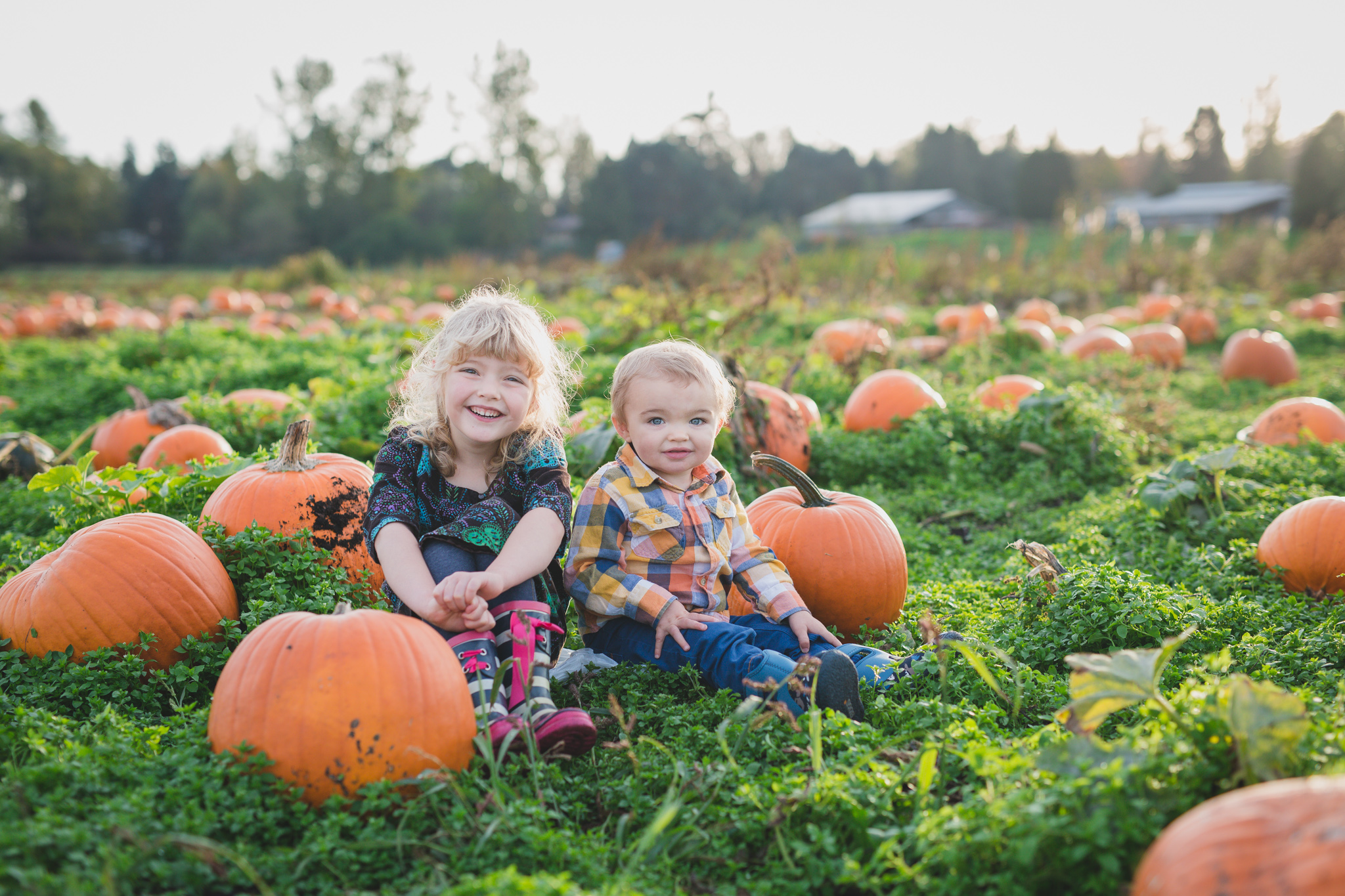 pumpkin patch, family photos, rondriso farms, fall photos, family photographer, vancouver, wink photography, brother sister, pumpkin patch photography, fraser valley photographer