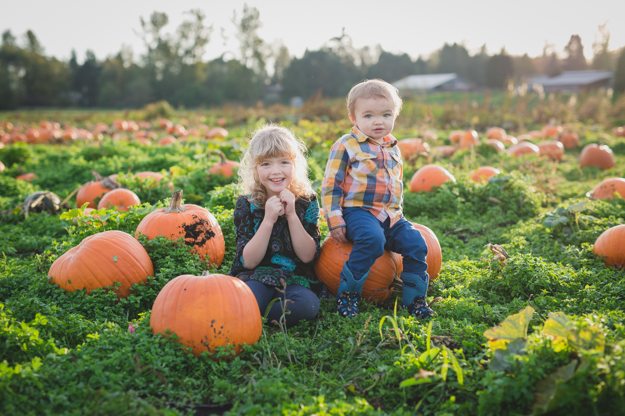 pumpkin patch family photo, pumpkin patch, family photography, fall, rondriso farms, cloverdale, fraser valler, wink photography, fraser valley family photographer