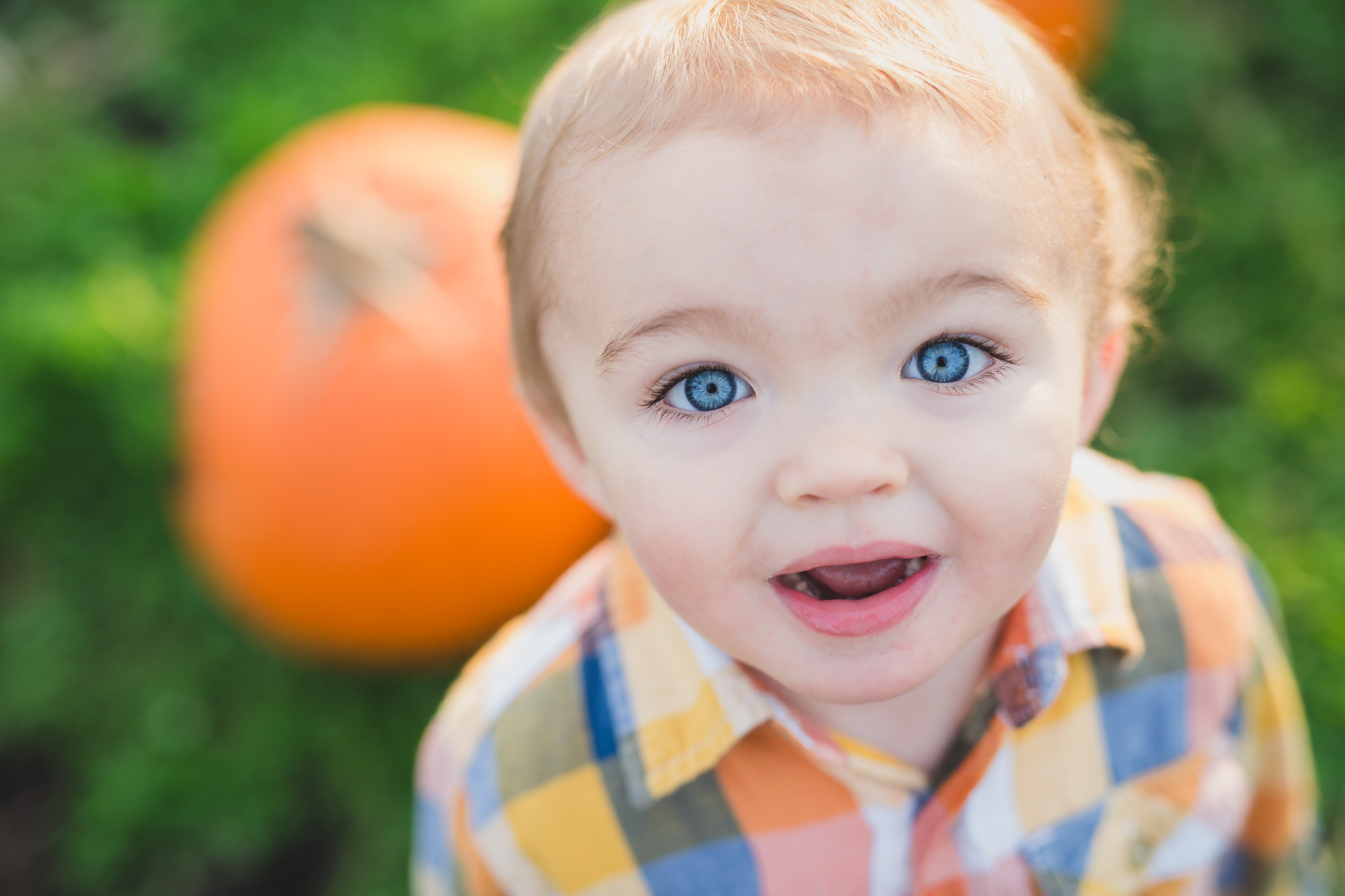 baby photography, fraser valley, cloverdale, rondriso eyes, surprised, pumpkin, pumpkin patch, wink photography