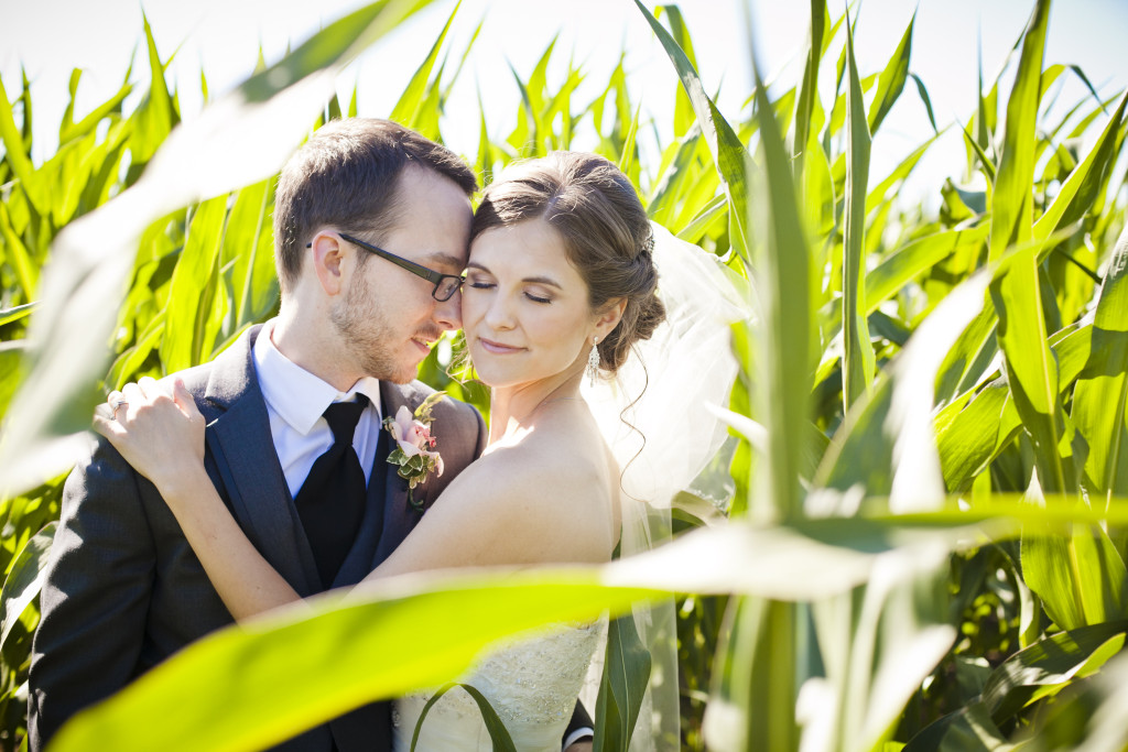 corn field wedding photo, bride and groom portrait at saar bank farms wedding