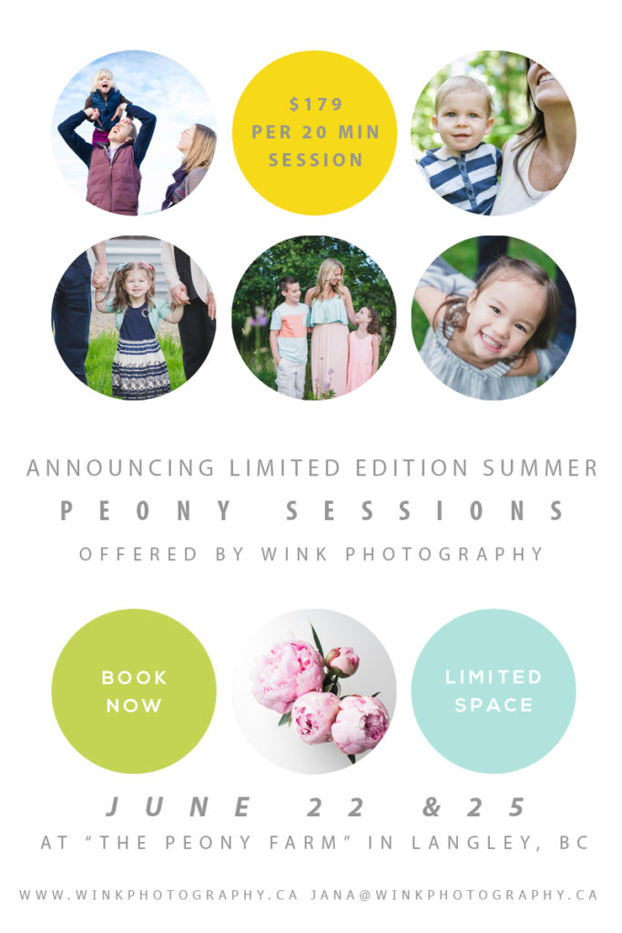 fraser valley family photographer mini sessions 2017, langley bc, fraser valley photographer