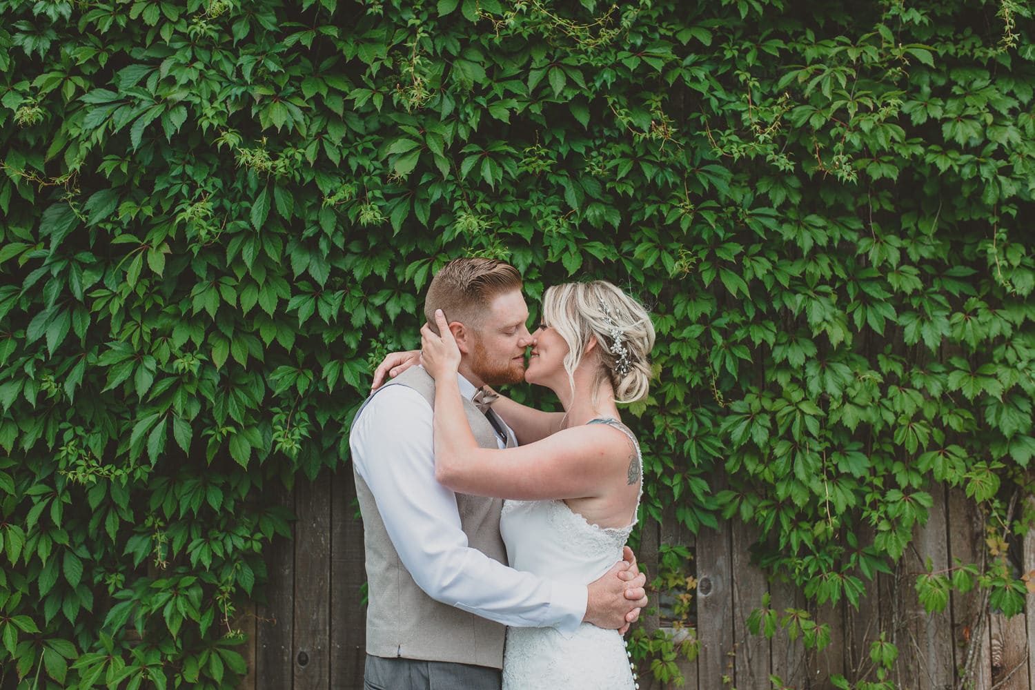 wedding couple portrait with ivy wall in osprey village