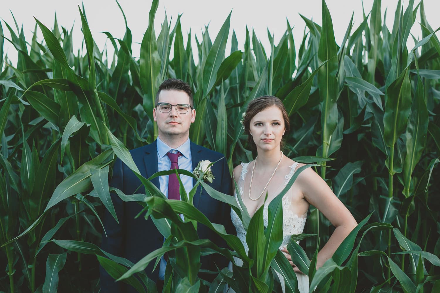 couple in cornfield at hopcott farms wedding in pitt meadows