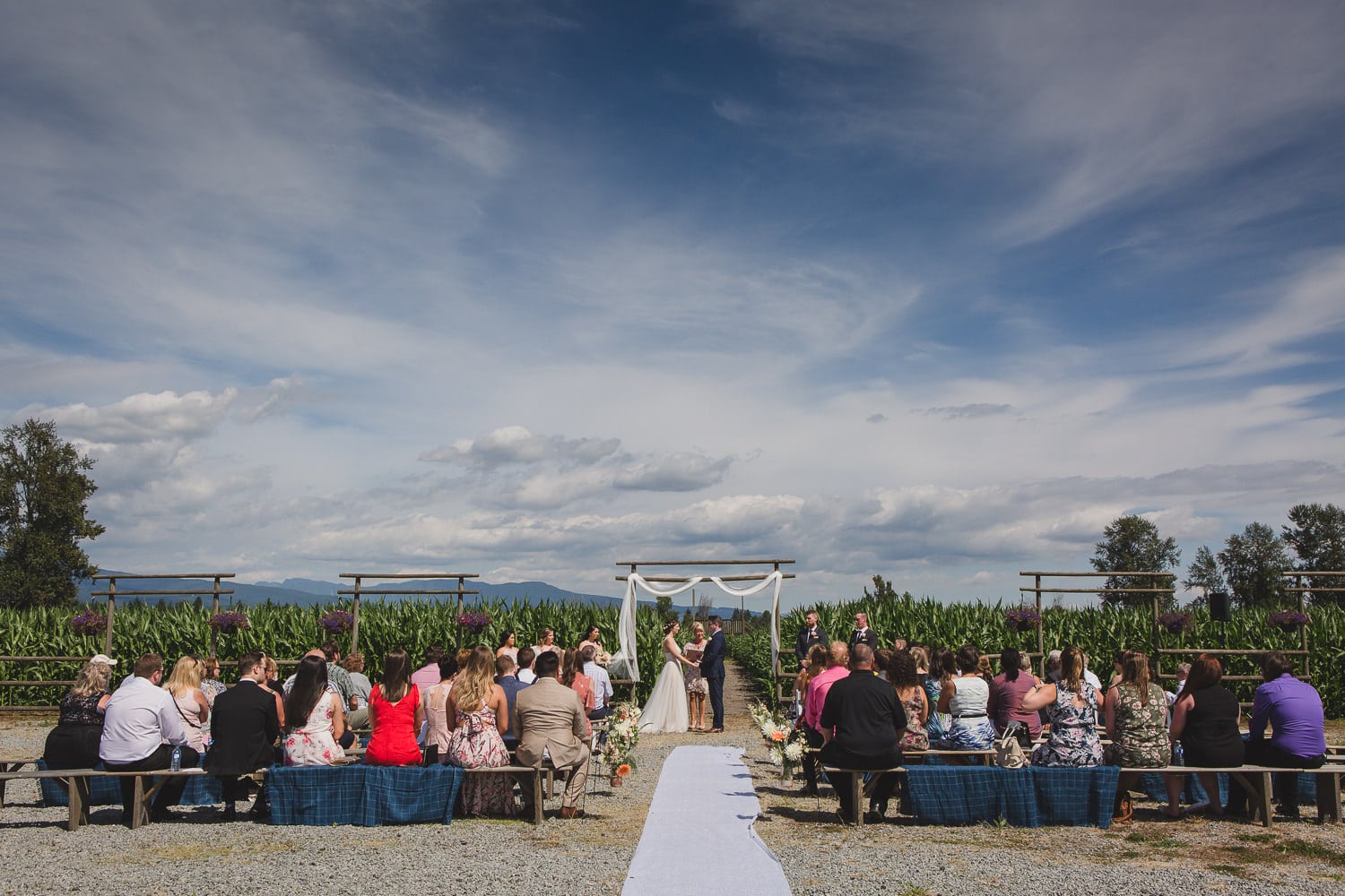 wedding ceremony at hopcott farms fraser valley