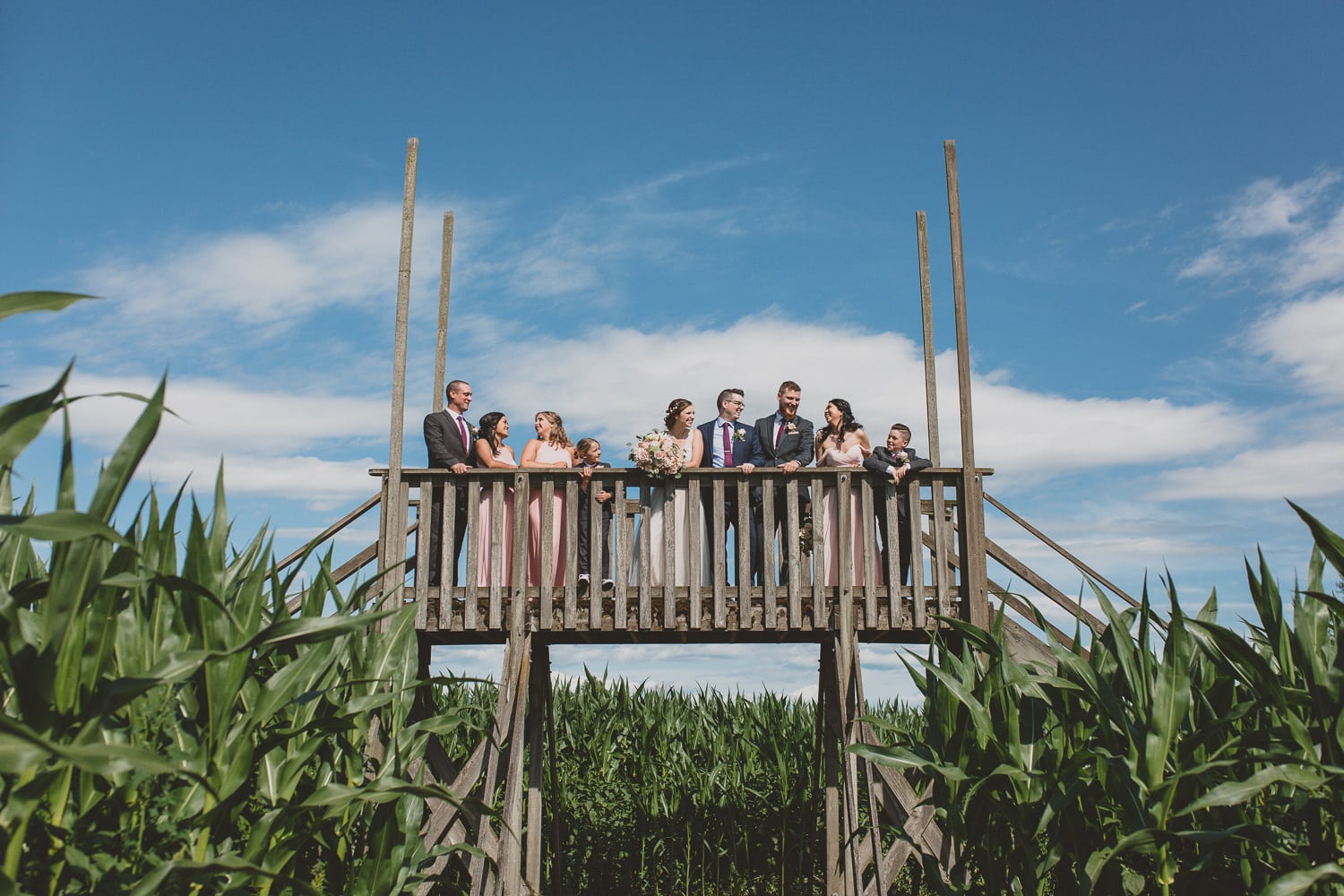 cornfield at hopcott farms wedding party portrait