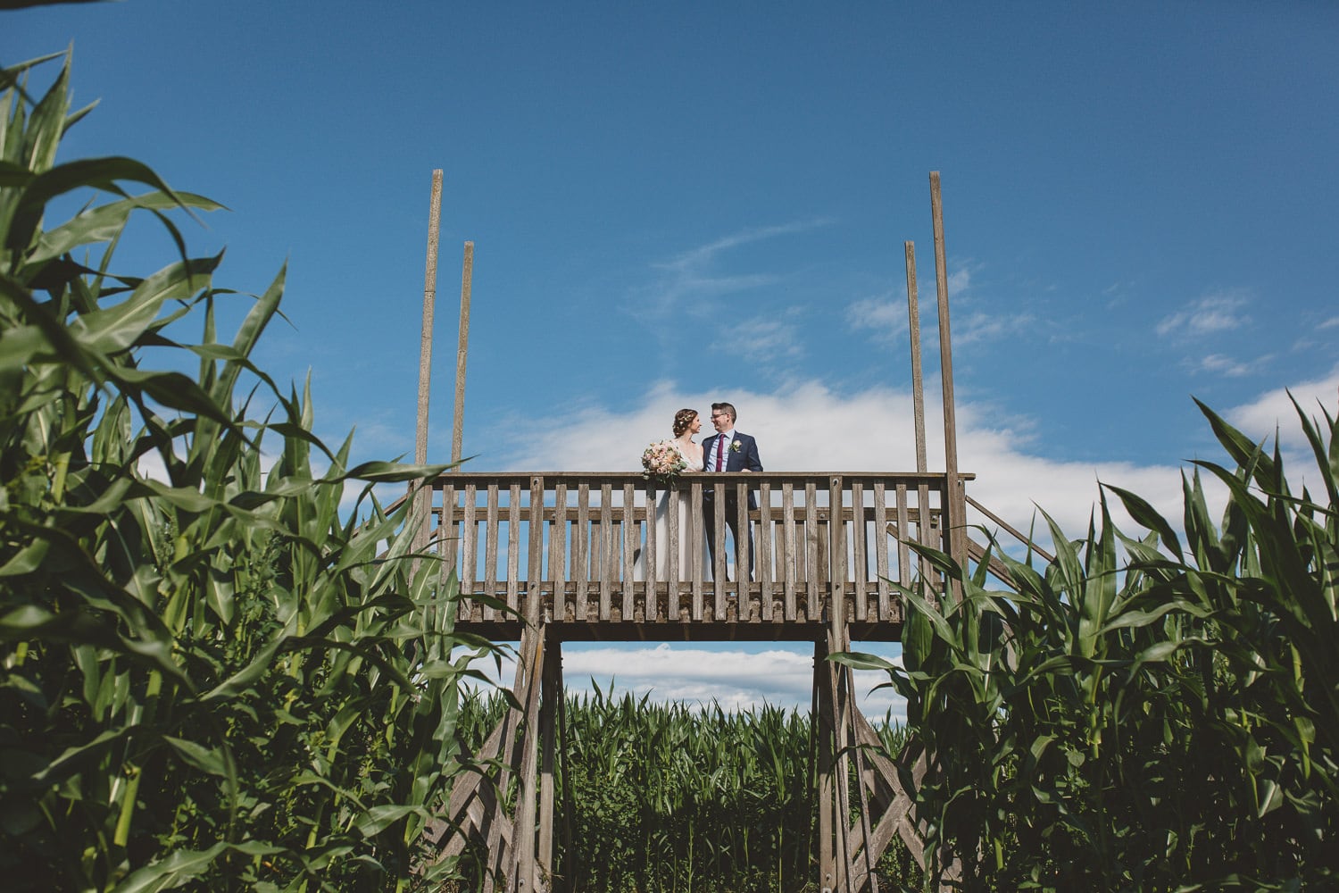 couple on bridge in corn field at hopcott farms pitt meadows wedding