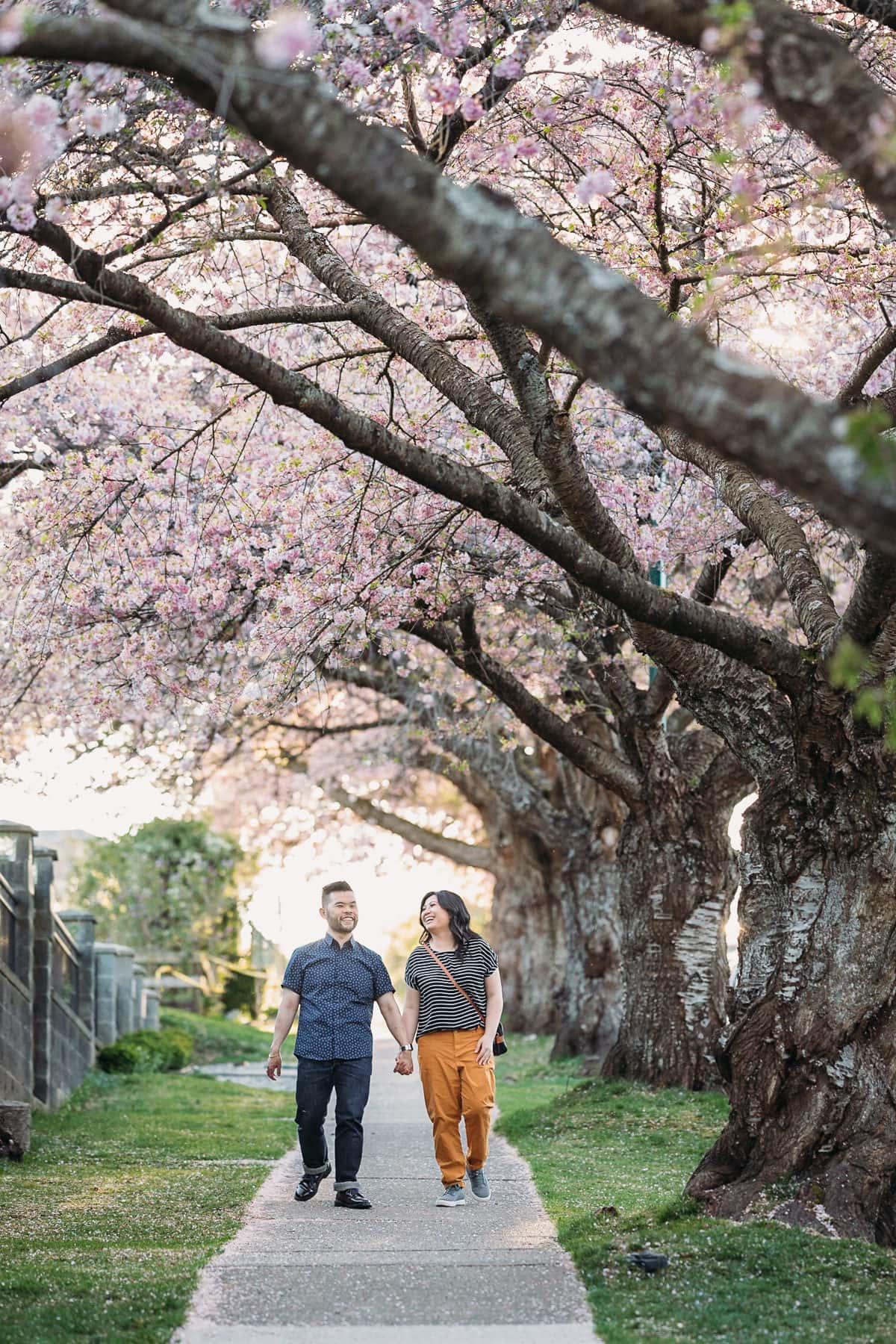 Cherry blossom engagement photos in East Vancouver